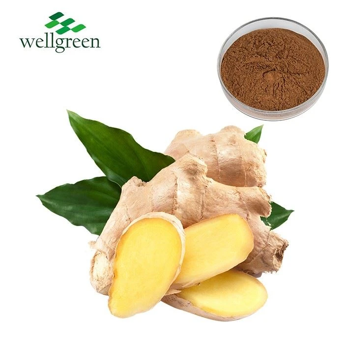 Ginger Extract Powder
