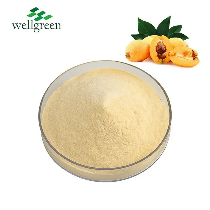 Loquat Extract Powder