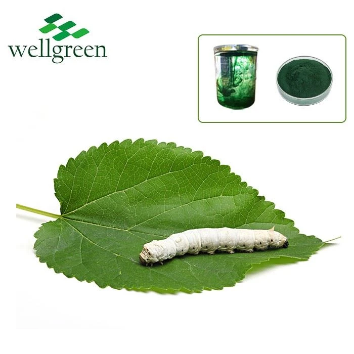 Sodium Magnesium Chlorophyllin Powder